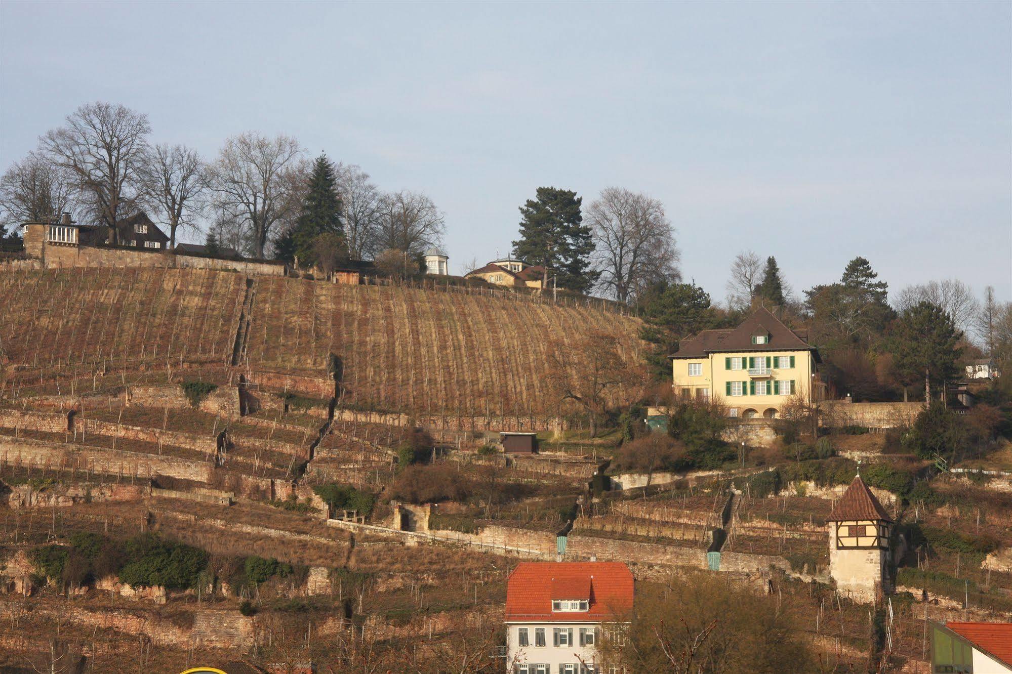 Hotel Am Schelztor Esslingen am Neckar Bagian luar foto